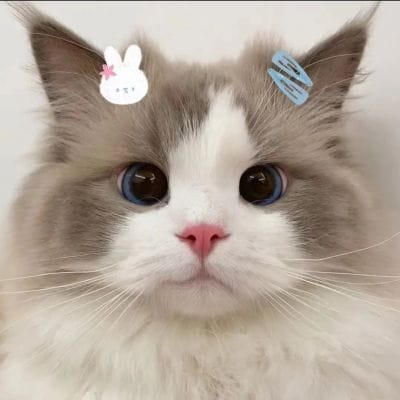 โอม ภวัต avatar